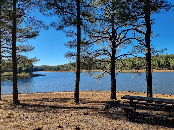 Dogtown Lake Campground And Group Picture 6