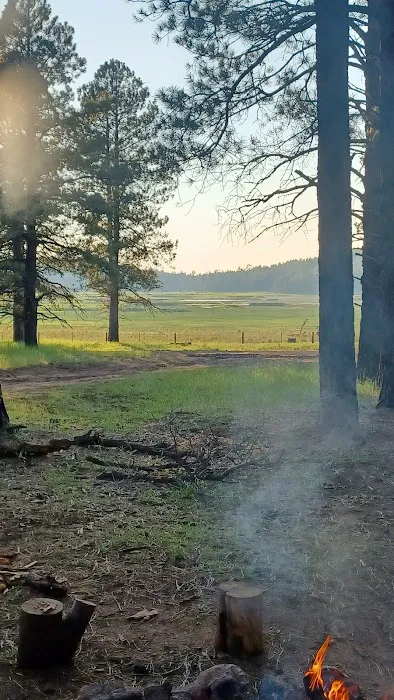 Bill Williams Campground Picture 4