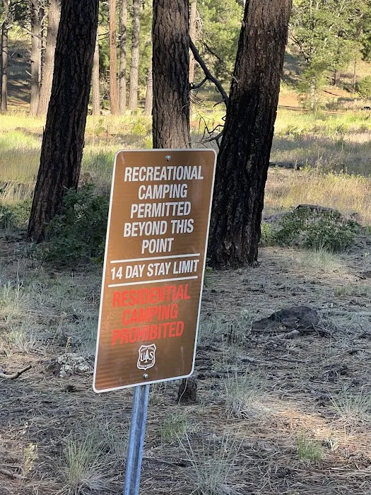 Bill Williams Campground Picture 7