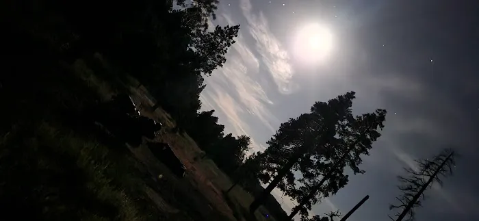 Bill Williams Campground Picture 6