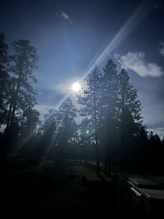 Bill Williams Campground Picture 1