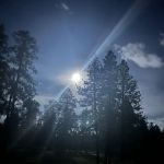 Bill Williams Campground