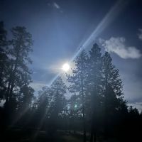 Bill Williams Campground ico