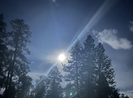 Bill Williams Campground