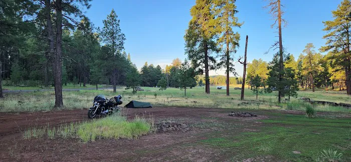 Bill Williams Campground Picture 5