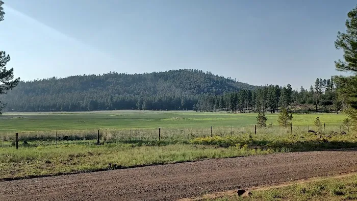 Bill Williams Campground Picture 3