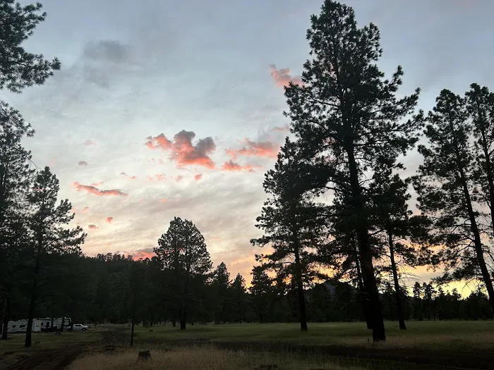 Bill Williams Campground Picture 2