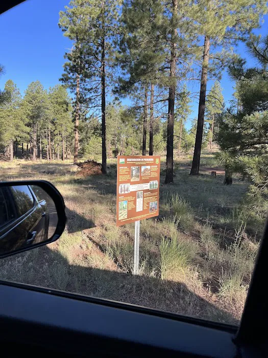 Bill Williams Campground Picture 9