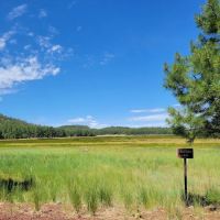 Coleman Lake ico