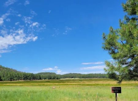 Coleman Lake