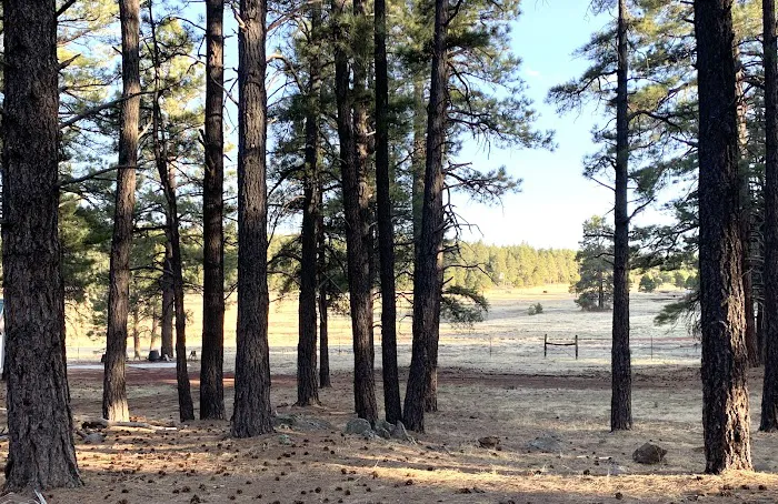 Light On The Mountain Campground Picture 2