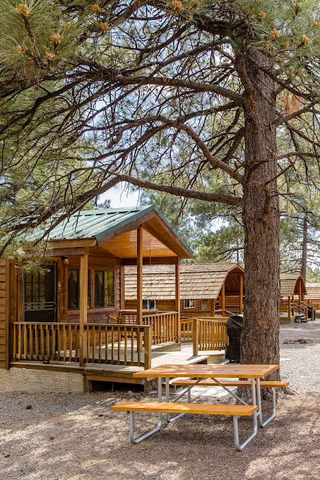 Williams / Exit 167 / Circle Pines KOA Holiday Picture 6