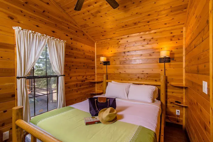 Williams / Exit 167 / Circle Pines KOA Holiday Picture 8