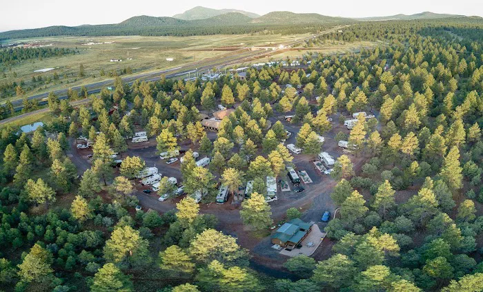 Williams / Exit 167 / Circle Pines KOA Holiday Picture 10