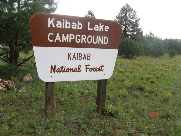 Kaibab Lake Campground Picture 6