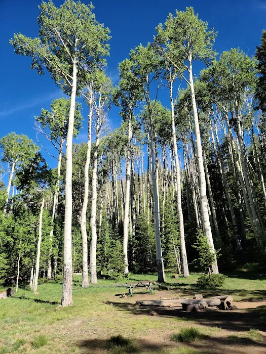 Lockett Meadow Campground Picture 10