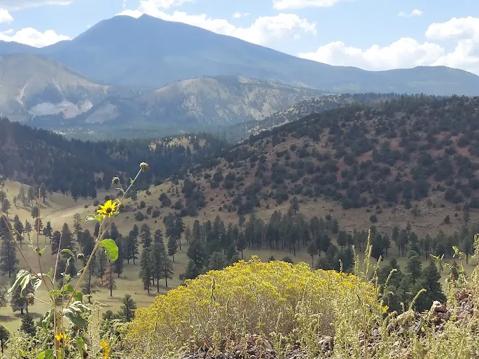 Lockett Meadow Campground Picture 3