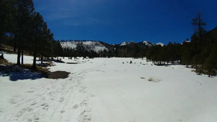 Lockett Meadow Campground Picture 6