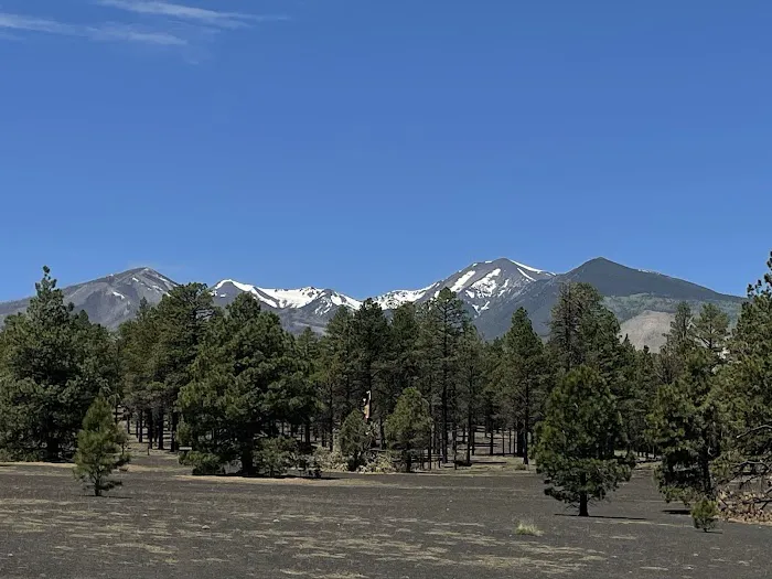 Bonito Campground Picture 4