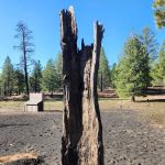 Bonito Campground