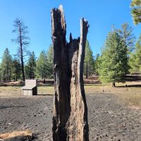 Bonito Campground ico