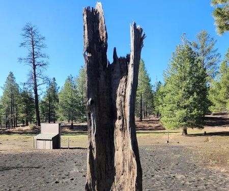 Bonito Campground