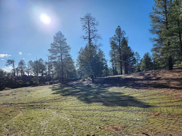 Bonito Campground Picture 2
