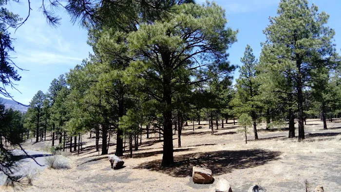 O'Leary Campground Picture 8