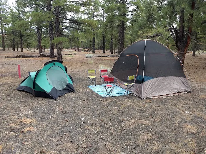 O'Leary Campground Picture 10