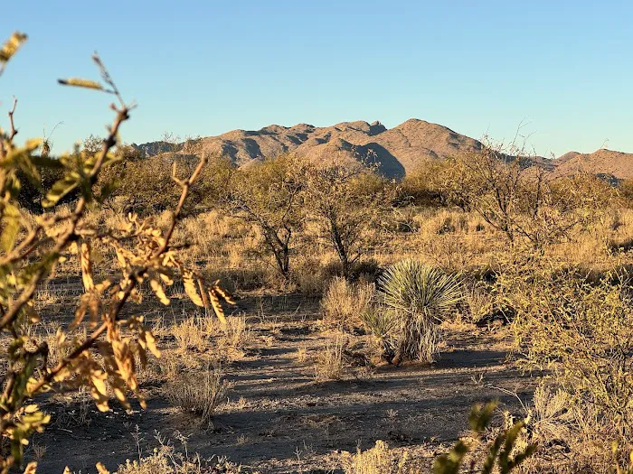 Dispersed Camping State Trust Land Picture 1