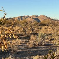 Dispersed Camping State Trust Land ico