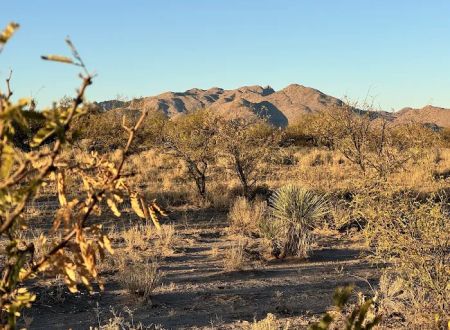 Dispersed Camping State Trust Land