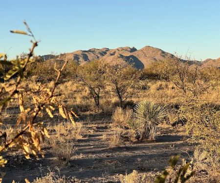 Dispersed Camping State Trust Land