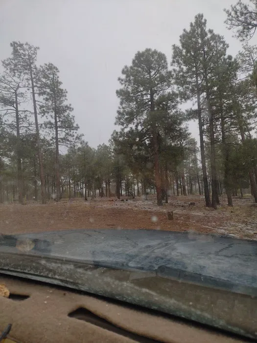 Deer Springs Interpretive Site (minor) (recgovnpsdata) Picture 2