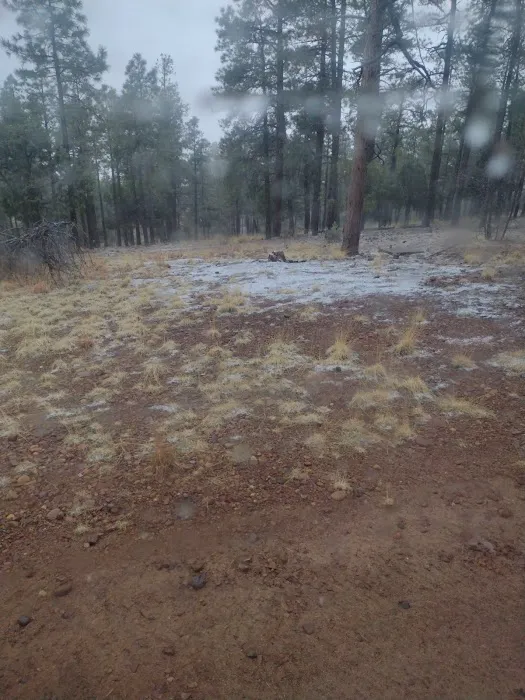 Deer Springs Interpretive Site (minor) (recgovnpsdata) Picture 1