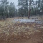 Deer Springs Interpretive Site (minor) (recgovnpsdata)