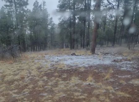 Deer Springs Interpretive Site (minor) (recgovnpsdata)