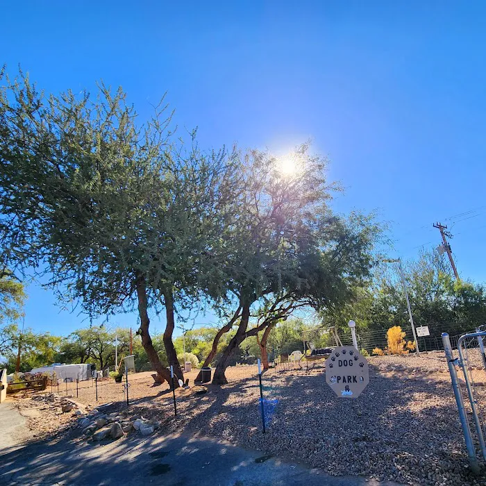 San Pedro Resort Community Picture 10