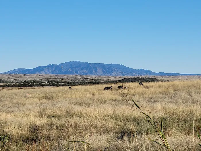 Las Cienegas National Conservation Area Picture 1