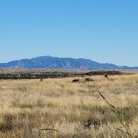Las Cienegas National Conservation Area ico