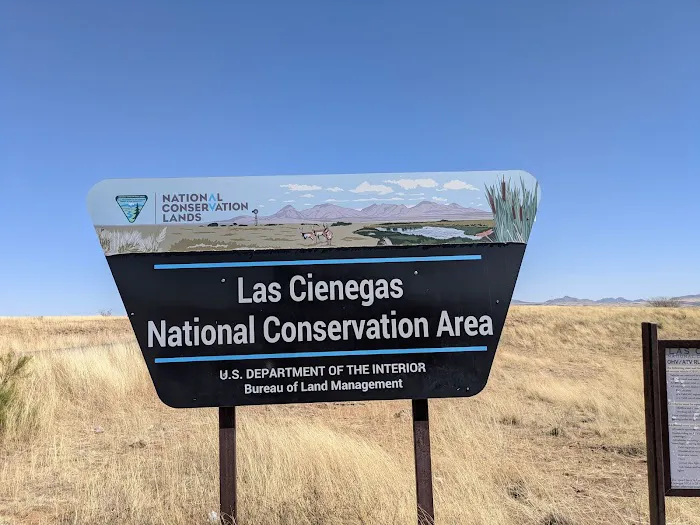 Las Cienegas National Conservation Area Picture 10