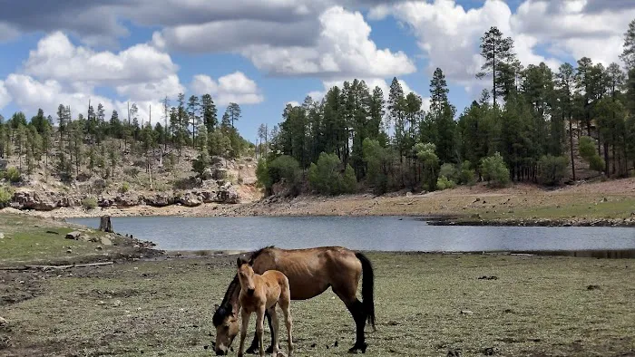 Black Canyon Lake Picture 7