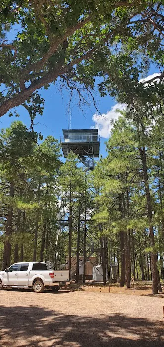 Gentry Campground Picture 3