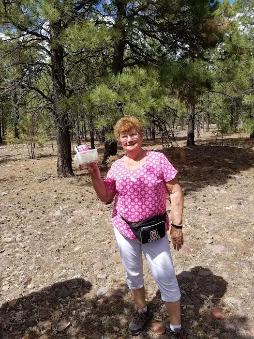 Gentry Campground Picture 4