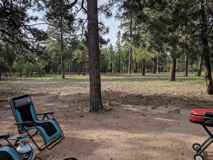 Black Canyon Rim Campground Picture 2