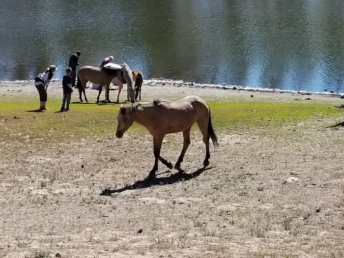 Black Canyon Rim Campground Picture 4