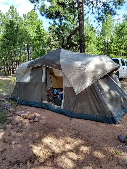 Black Canyon Rim Campground Picture 9
