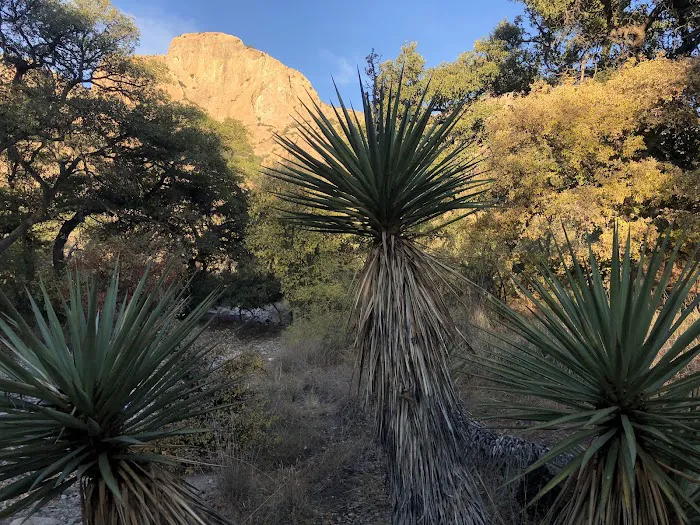 Cochise Stronghold Picture 5