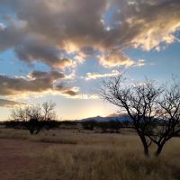 Cieneguita Camp Area ico