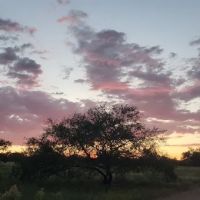 Road Canyon Camp Area ico